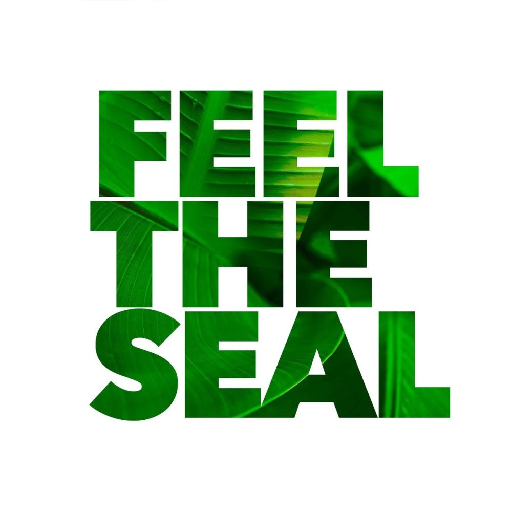 feel-the-seal_cd2ddfd8-4159-4a93-b389-8b7074eaee2d_2.jpg